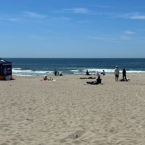 Meet your Posher, Vivi